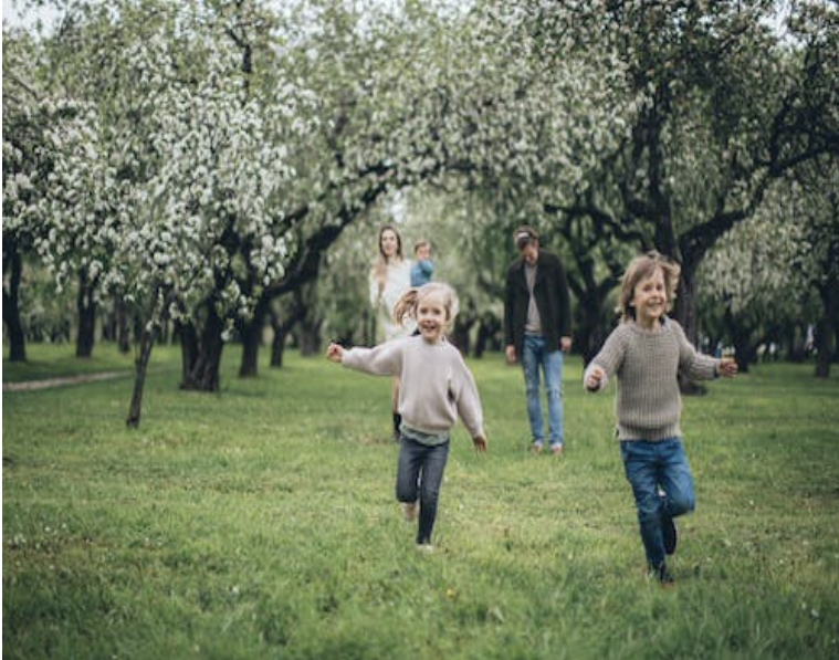 Walking Trails at Hill Ranch Estates